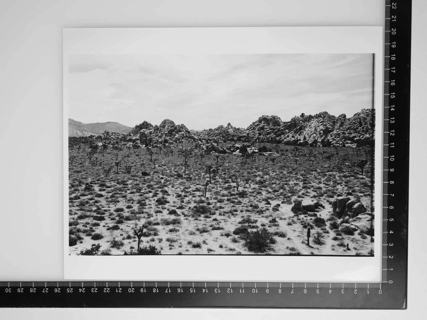 ROCKSCAPE #2 IN JOSHUA TREE 8x10 Silver Gelatin Print