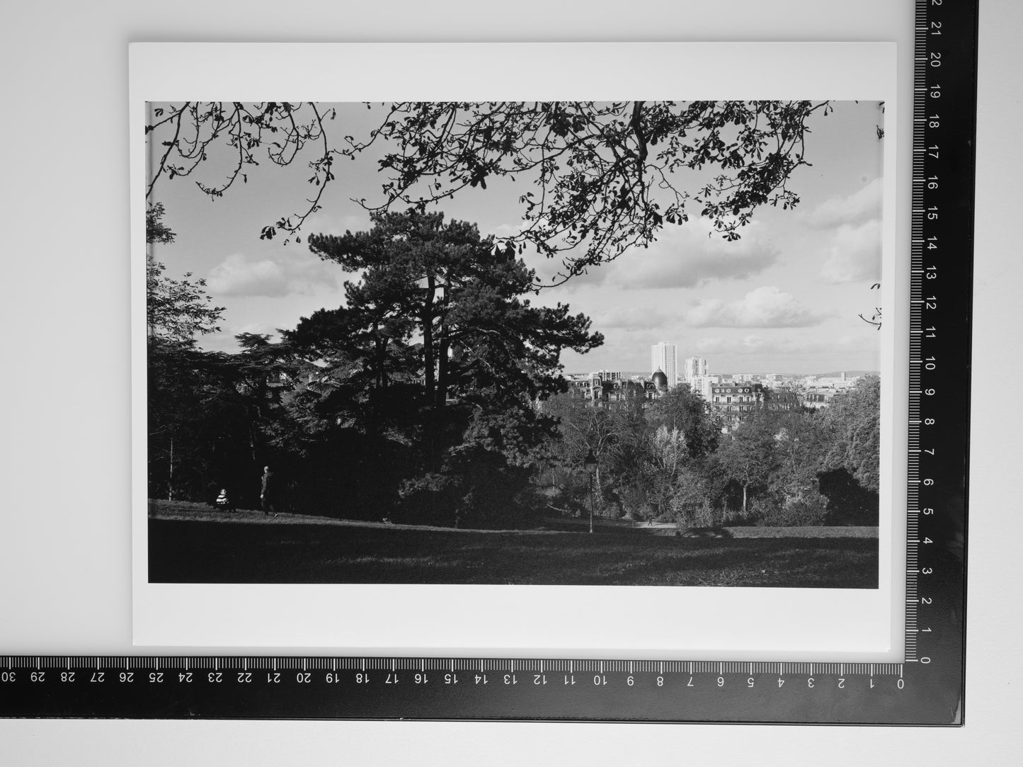 PARC DES BUTTES CHAUMONT 8x10 Silver Gelatin Print