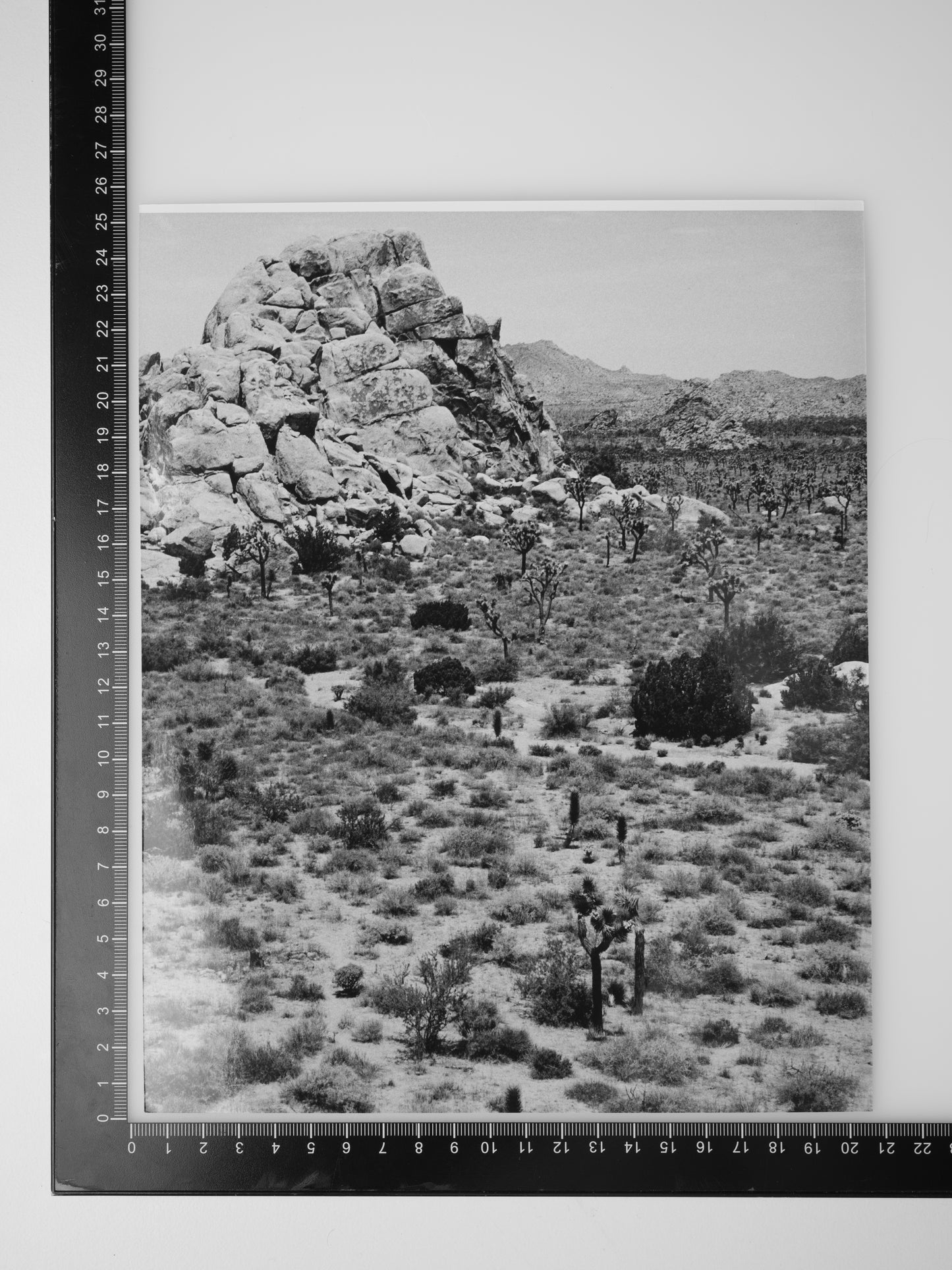 Enlargement of ROCK FORMATION IN JOSHUA TREE