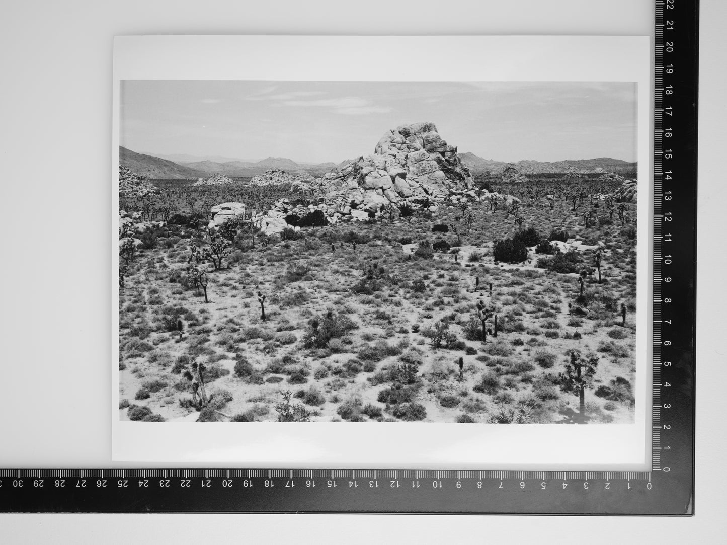 ROCK FORMATION IN JOSHUA TREE 8X10 SILVER GELATIN PRINT