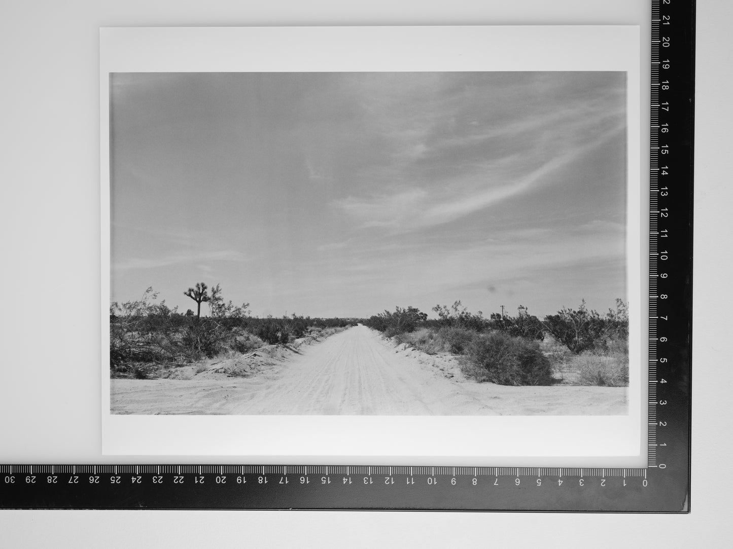 ROAD TO THE HIGH DESERT 8X10 Silver Gelatin Print