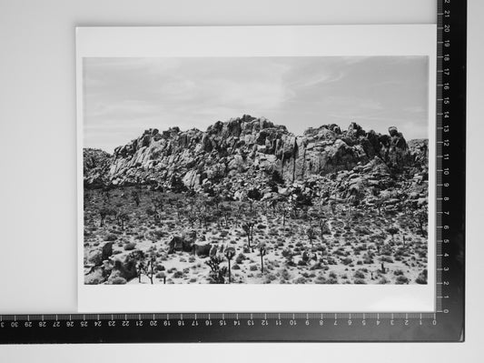 ROCKSCAPE IN JOSHUA TREE 8x10 Silver Gelatin Print