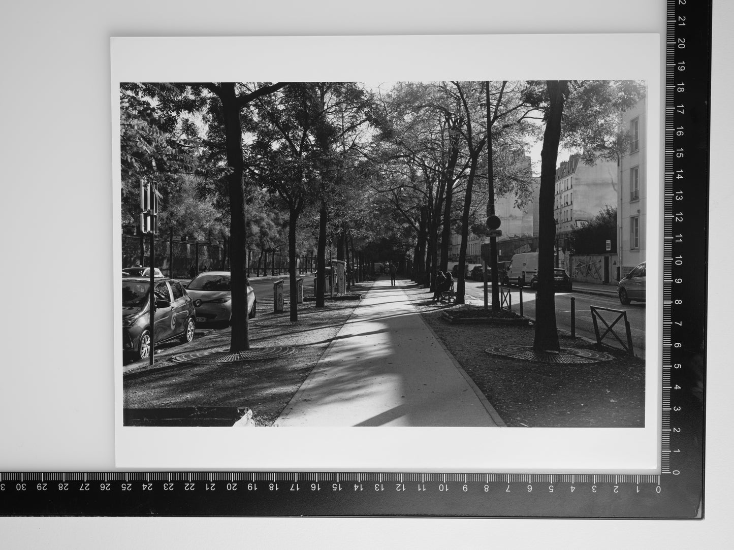 FOOTPATH IN PARIS 8X10 Silver Gelatin Print