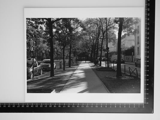 FOOTPATH IN PARIS 8X10 Silver Gelatin Print