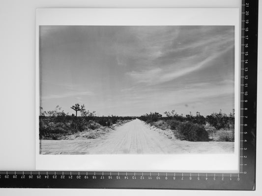 ROAD TO THE HIGH DESERT 8X10 Silver Gelatin Print