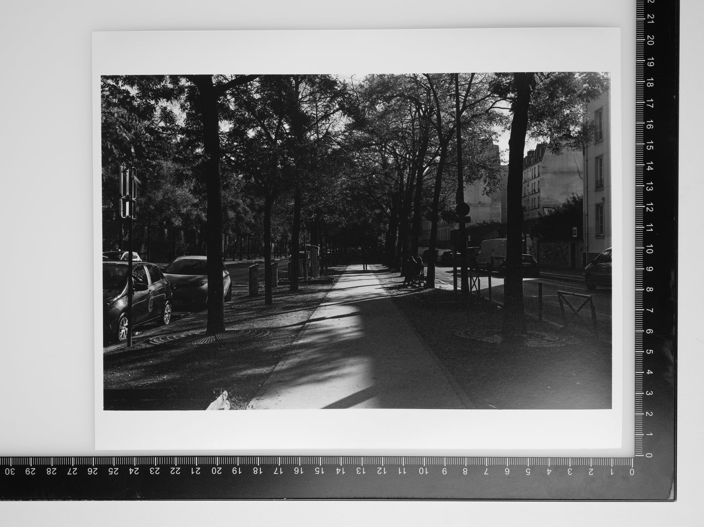 FOOTPATH IN PARIS 8X10 Silver Gelatin Print
