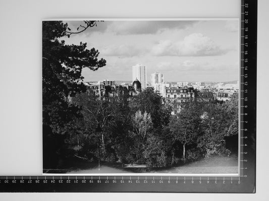 Detail of PARC DES BUTTES CHAUMONT 8x10 Silver Gelatin Print