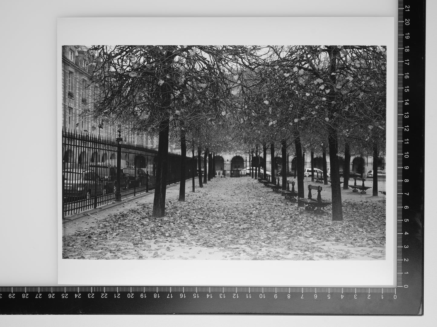 Detail of Benches in PLACE DES VOSGES 8x10 Silver Gelatin Print