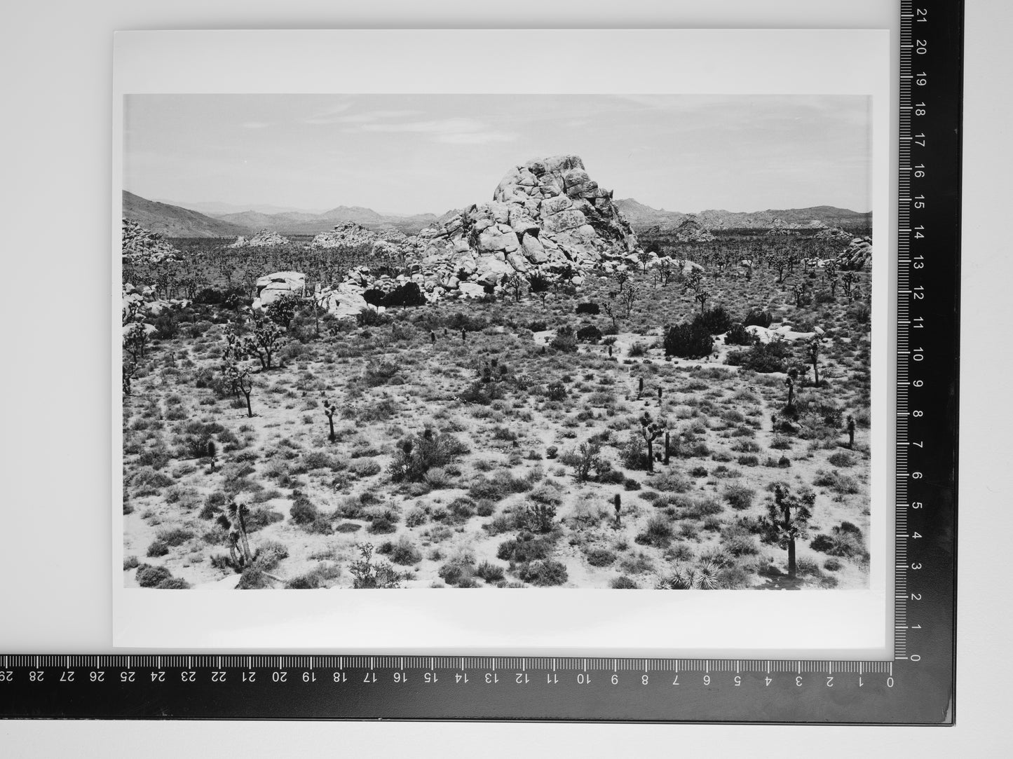 ROCK FORMATION IN JOSHUA TREE 8X10 SILVER GELATIN PRINT