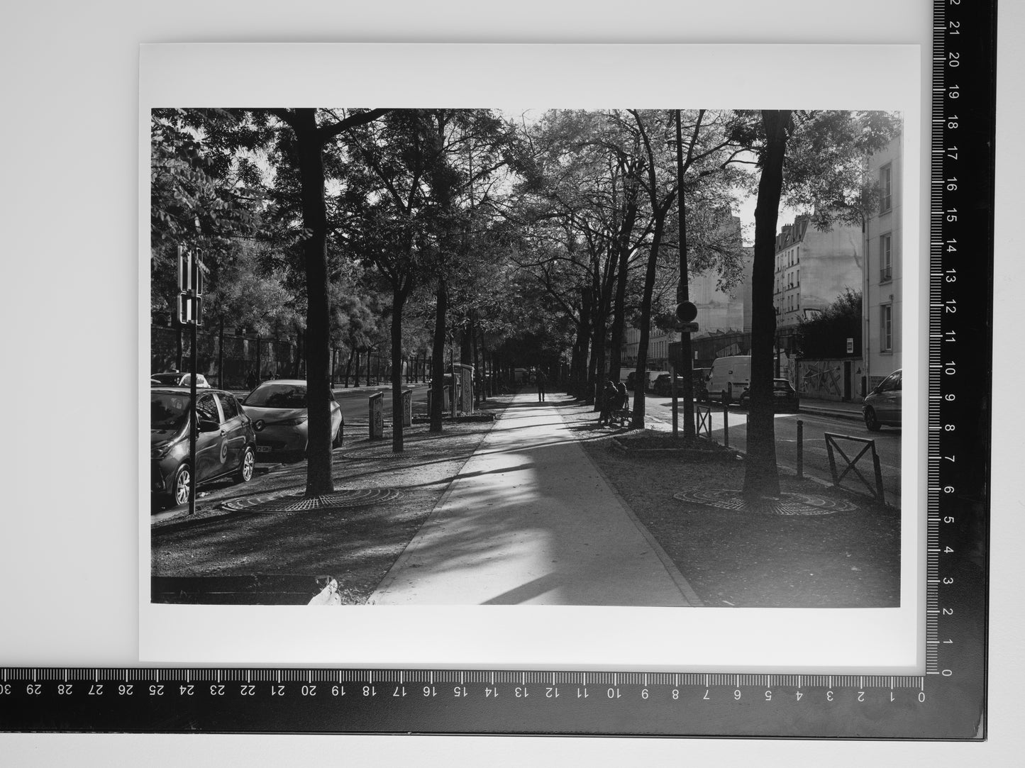 FOOTPATH IN PARIS 8X10 Silver Gelatin Print