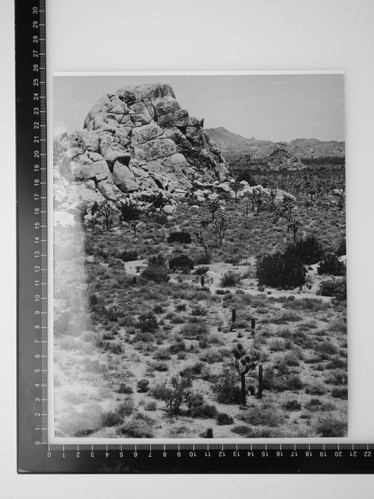 Enlargement of ROCK FORMATION IN JOSHUA TREE