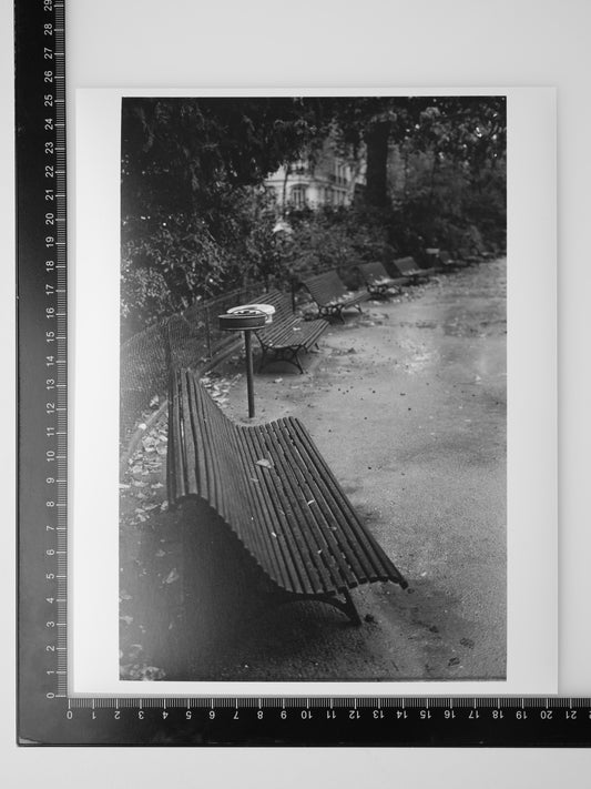BENCH IN SQUARE DU TEMPLE ELIE WIESEL 8x10 Silver Gelatin Print