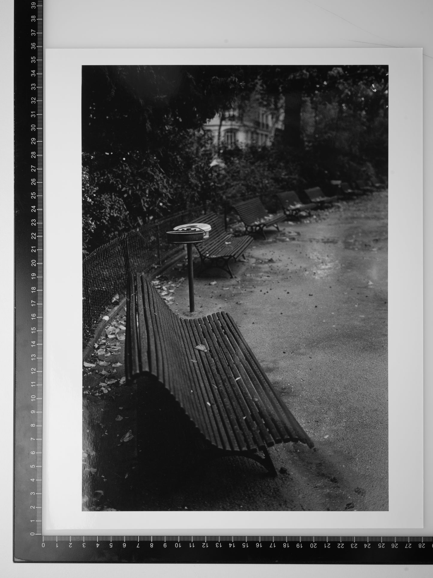 BENCH IN SQUARE DU TEMPLE ELIE WIESEL
