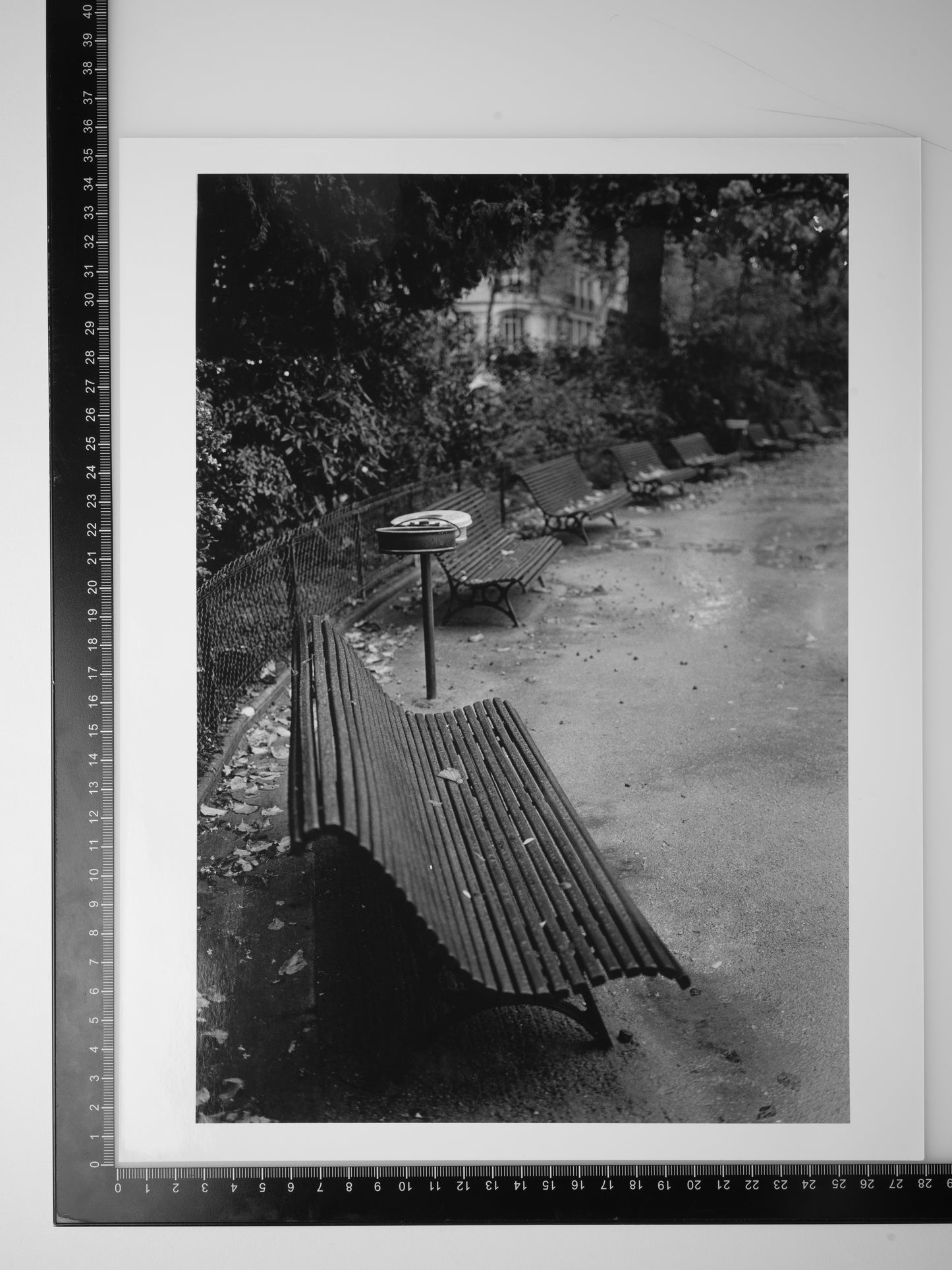 BENCH IN SQUARE DU TEMPLE ELIE WIESEL